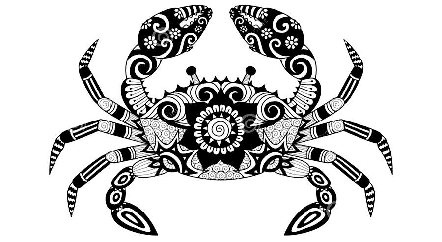 少兒美術(shù)參考課例|線描裝飾畫(huà)螃蟹